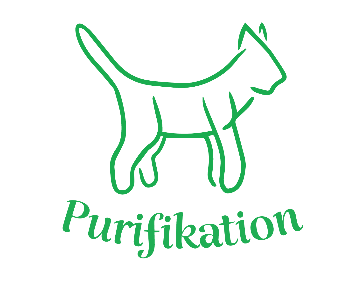 This green logo shows an outline of a floating cat 
				alongside the curved phrase Purifikation.